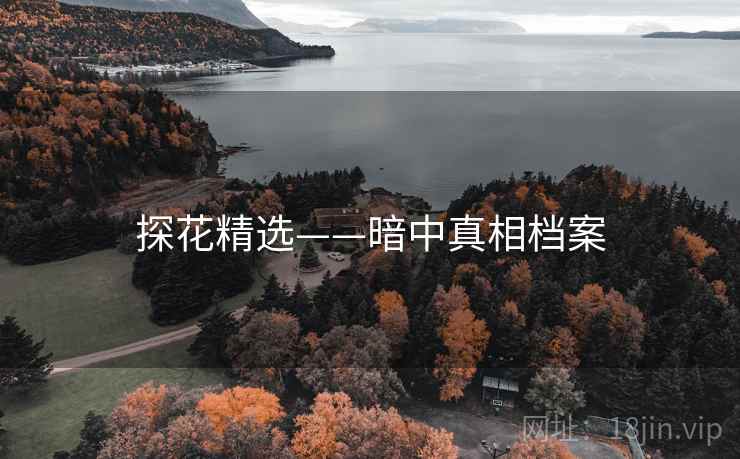 探花精选——暗中真相档案