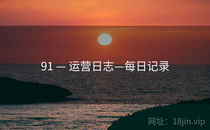 91 — 运营日志—每日记录