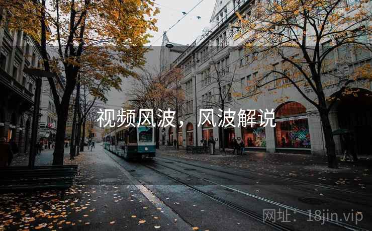 视频风波，风波解说