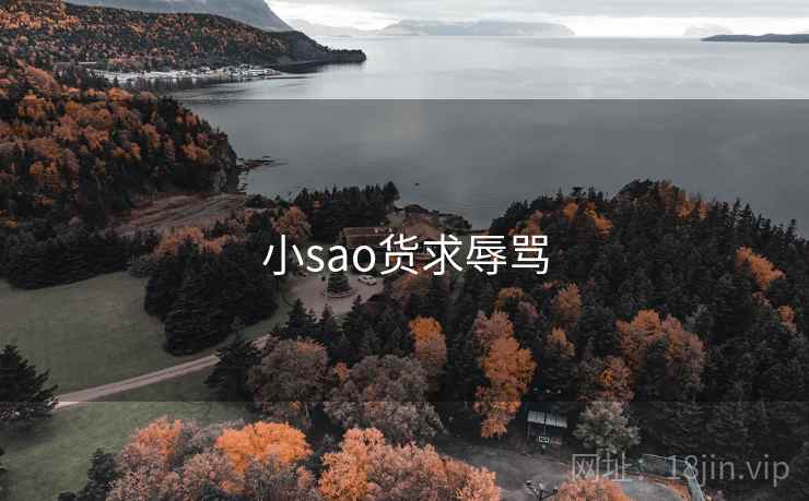 小sao货求辱骂