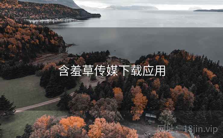 含羞草传媒下载应用