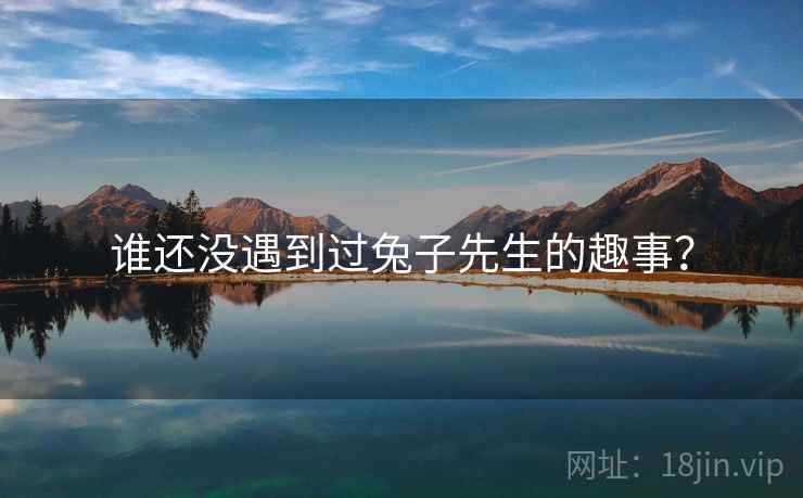 谁还没遇到过兔子先生的趣事？