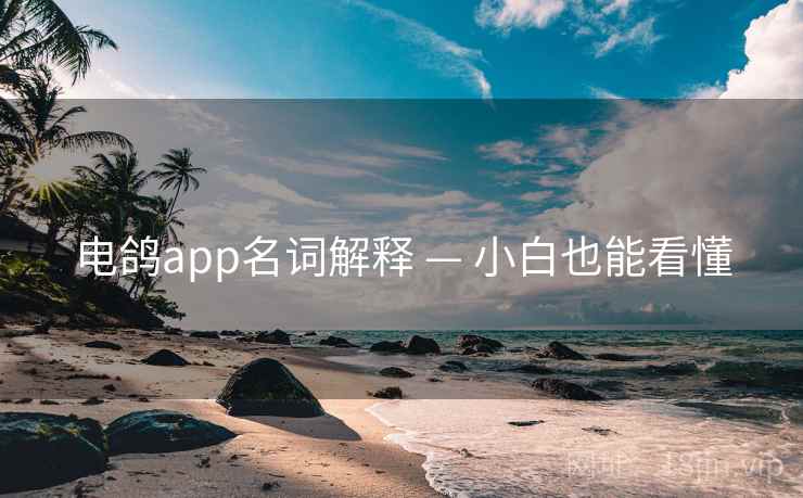电鸽app名词解释 — 小白也能看懂