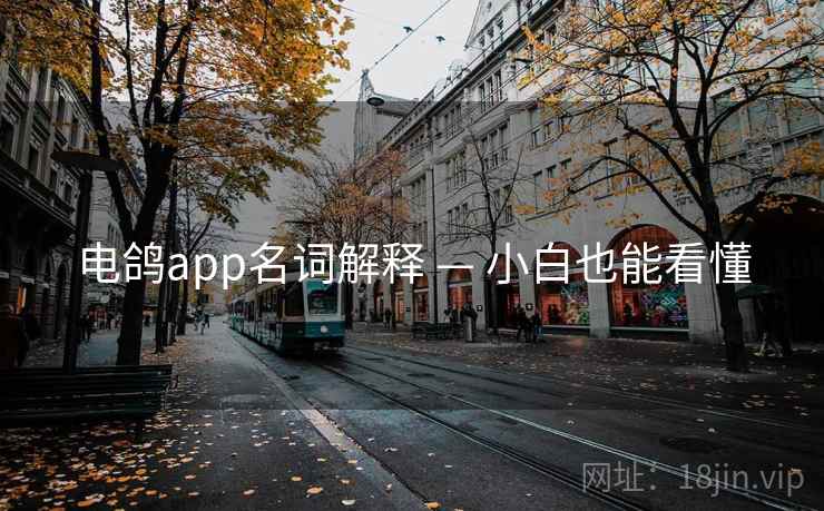 电鸽app名词解释 — 小白也能看懂 电鸽app名词解释 — 小白也能看懂