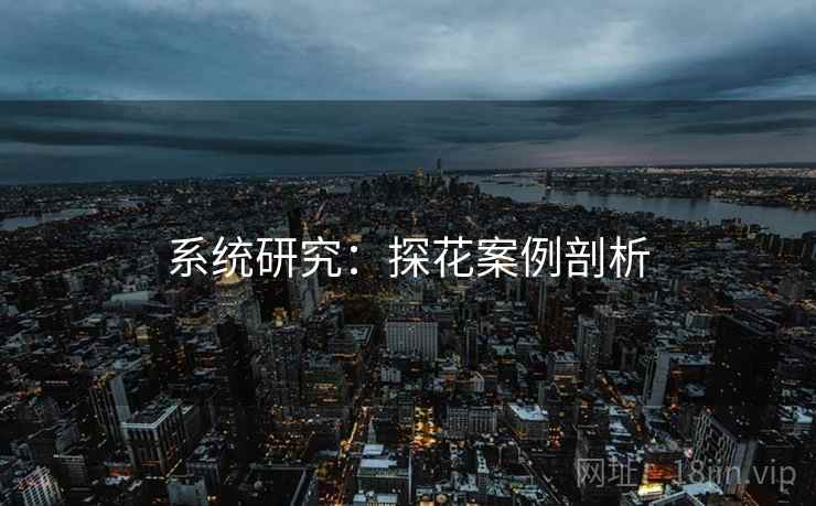 系统研究:探花案例剖析 系统研究:探花案例剖析