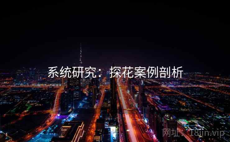 系统研究：探花案例剖析