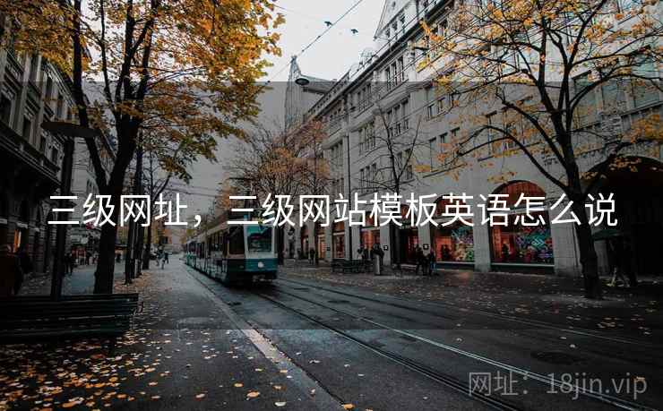三级网址,三级网站模板英语怎么说