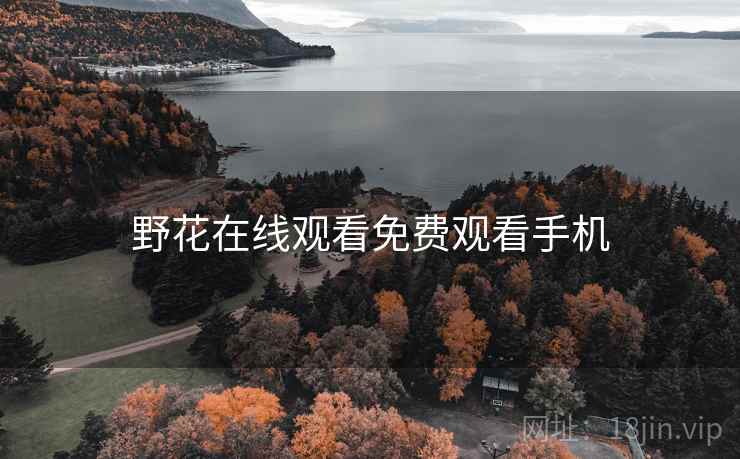 野花在线观看免费观看手机